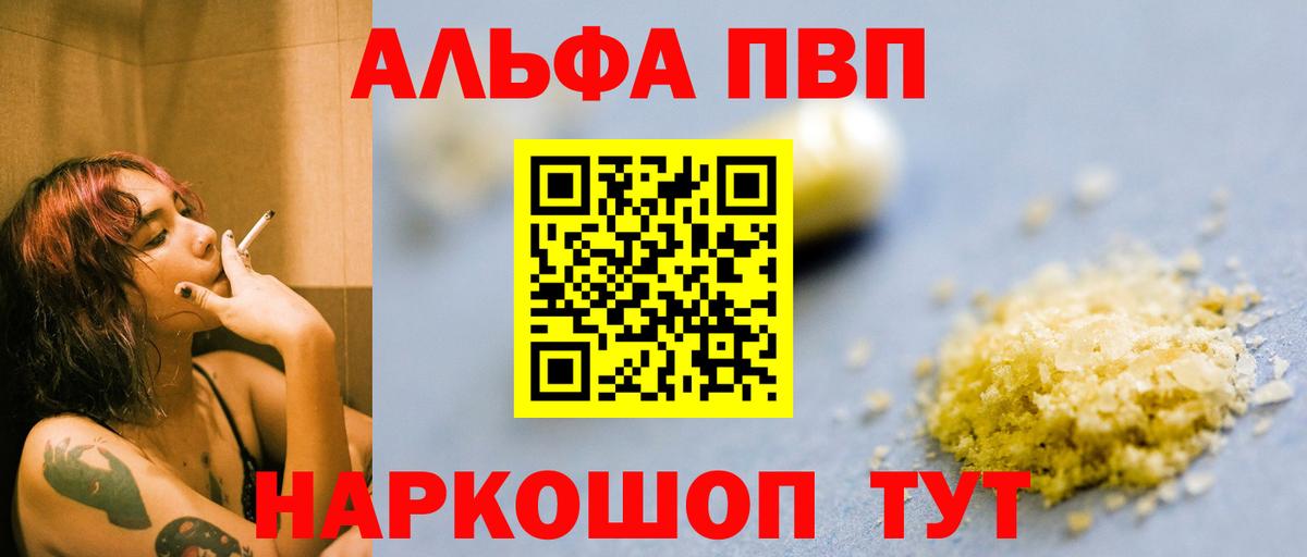 Альфа ПВП СК Великий Устюг