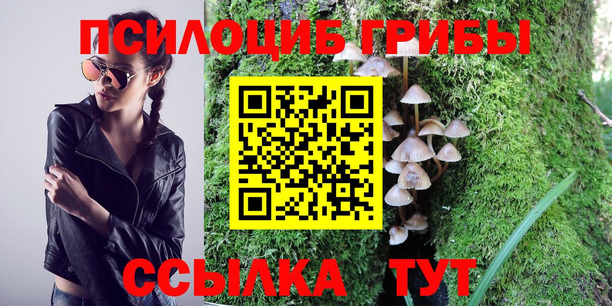 Галлюциногенные грибы ЛСД  Вход с VPN  купить  цена  Великий Устюг 
