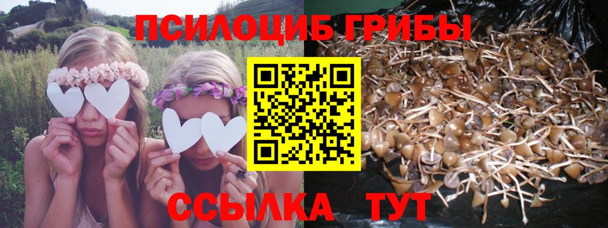Галлюциногенные грибы Cubensis Великий Устюг